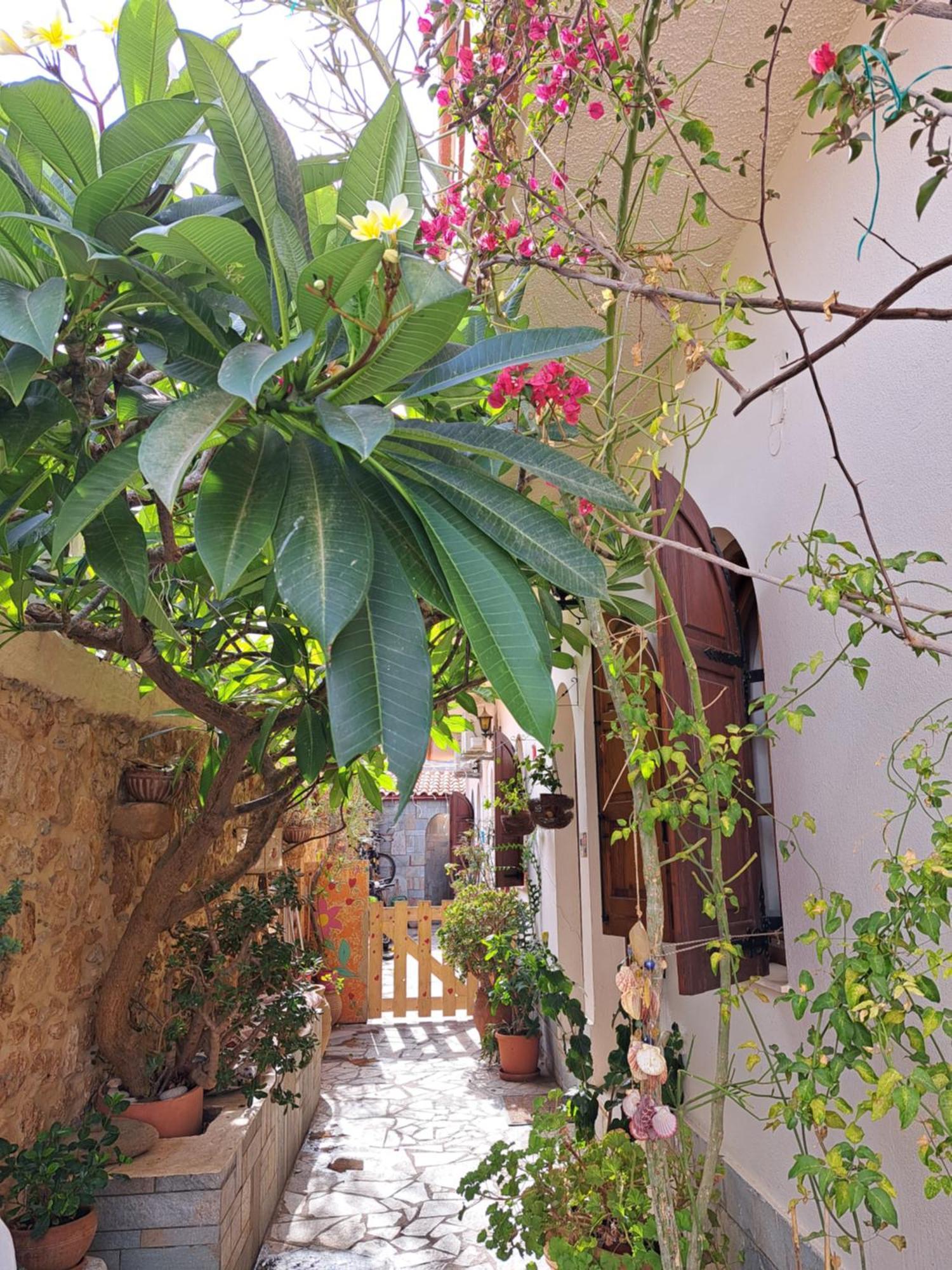 Apartment Stella Malia (Crete)